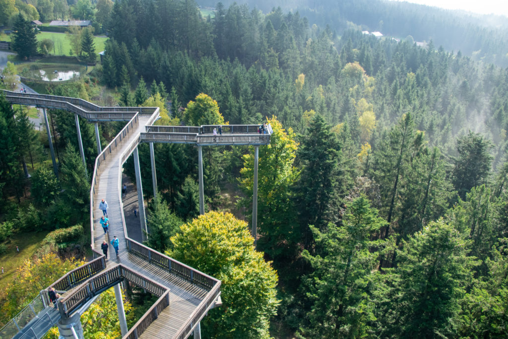 waldwipfelweg_Touristinfo